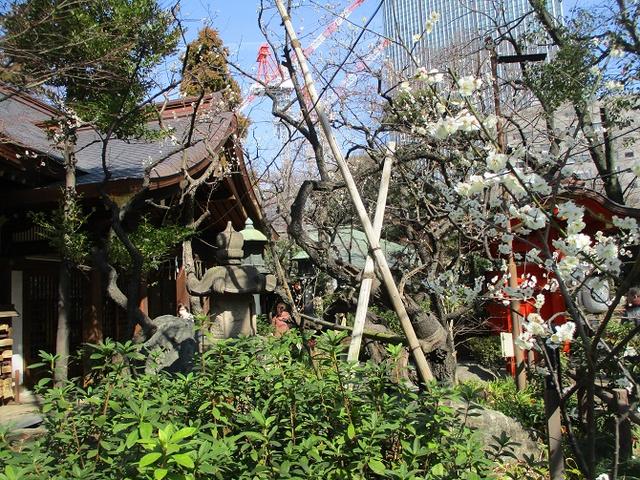 画像7: 【山旅会・登山ガイドこだわりツアー】岡田ガイドからの便り・都内の山ツアーに行ってきました!