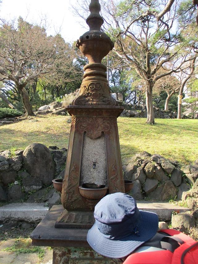 画像4: 【山旅会・登山ガイドこだわりツアー】岡田ガイドからの便り・都内の山ツアーに行ってきました!