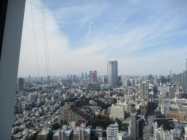 画像10: 【山旅会・登山ガイドこだわりツアー】岡田ガイドからの便り・都内の山ツアーに行ってきました!