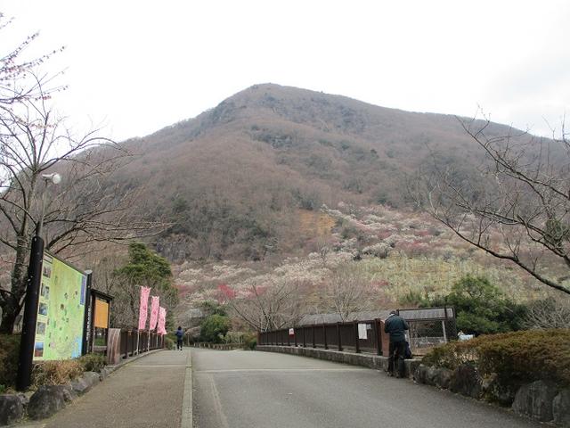 画像1: 来年の冬の企画素材を探しに、湯河原の城山に行ってきました!