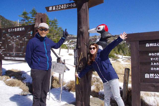 画像: ロープウェイの山頂駅から少し歩いて、標高2,240m地点からスタート!