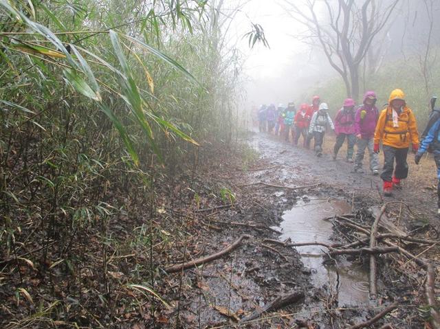 画像4: 2月28日に山旅会 「幕山と南郷山」 ツアーに行ってきました!