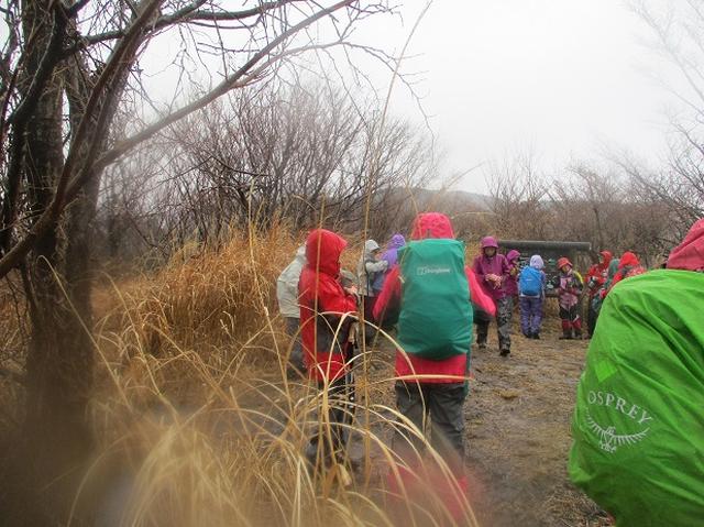 画像5: 2月28日に山旅会 「幕山と南郷山」 ツアーに行ってきました!