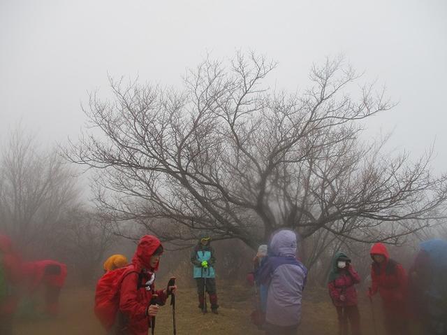 画像7: 2月28日に山旅会 「幕山と南郷山」 ツアーに行ってきました!