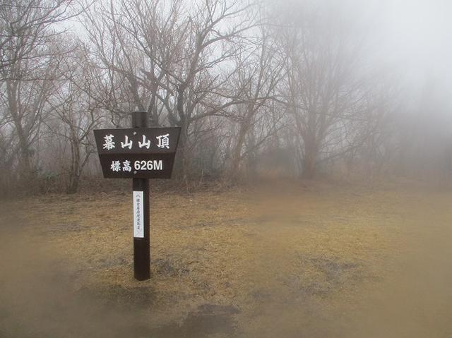 画像6: 2月28日に山旅会 「幕山と南郷山」 ツアーに行ってきました!