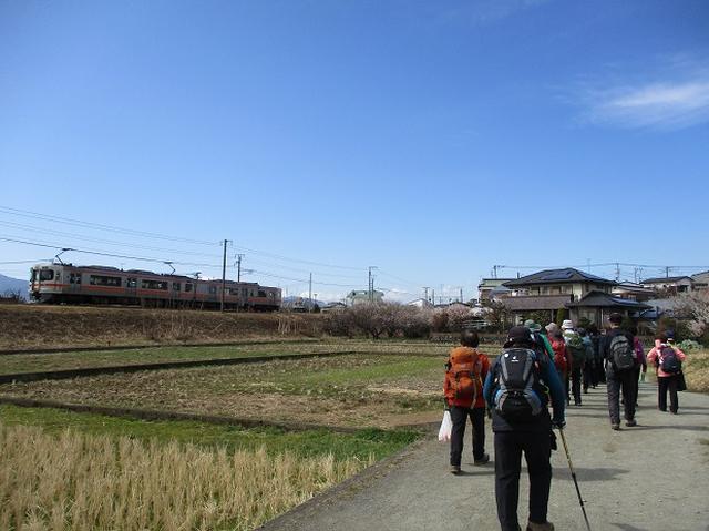 画像15: 2月25日に岡田ガイドのツアーで 曽我丘陵 へ行って来ました♪