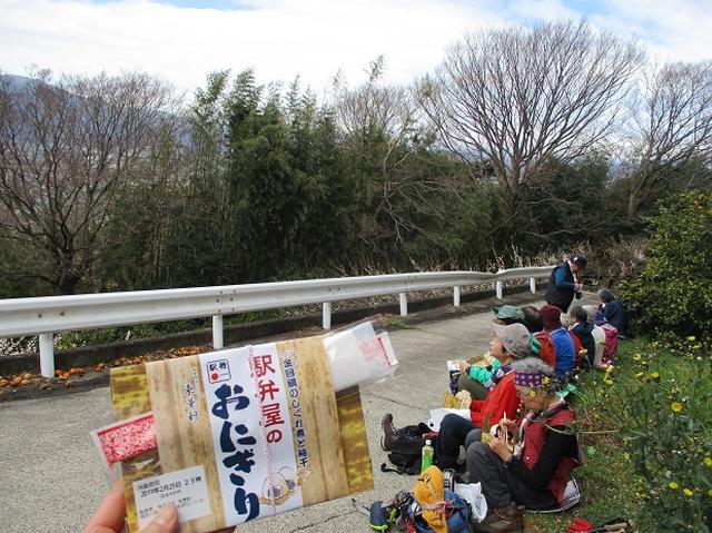 画像12: 2月25日に岡田ガイドのツアーで 曽我丘陵 へ行って来ました♪