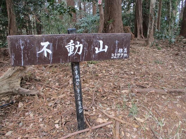 画像6: 2月25日に岡田ガイドのツアーで 曽我丘陵 へ行って来ました♪