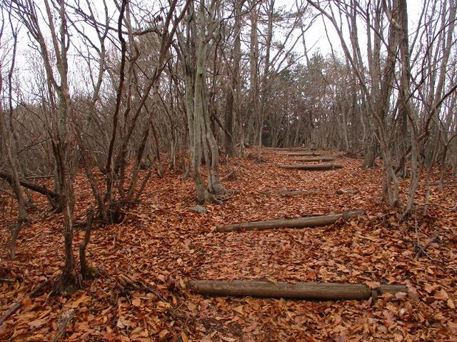 画像10: 山旅会 小倉山 ツアーの下見に行ってきました!