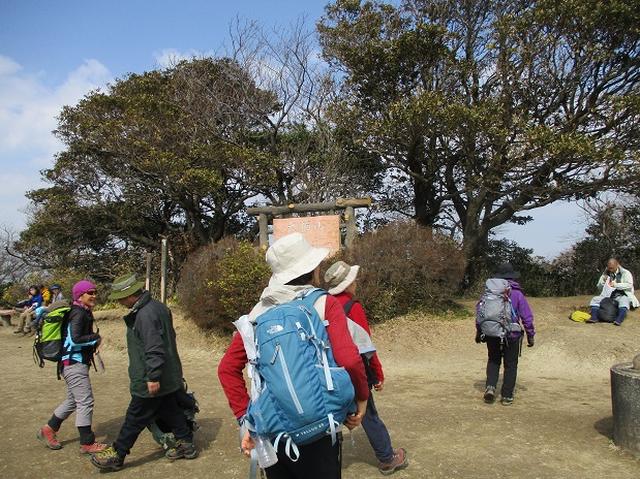 画像5: 3月2日に 安針塚から大楠山 ツアーに行ってきました!