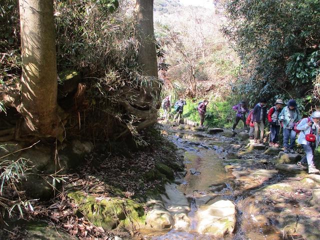 画像9: 3月2日に 安針塚から大楠山 ツアーに行ってきました!