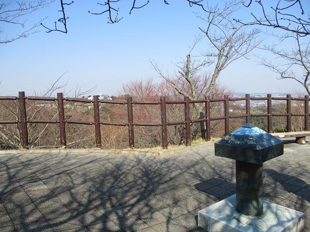 画像1: 3月2日に 安針塚から大楠山 ツアーに行ってきました!