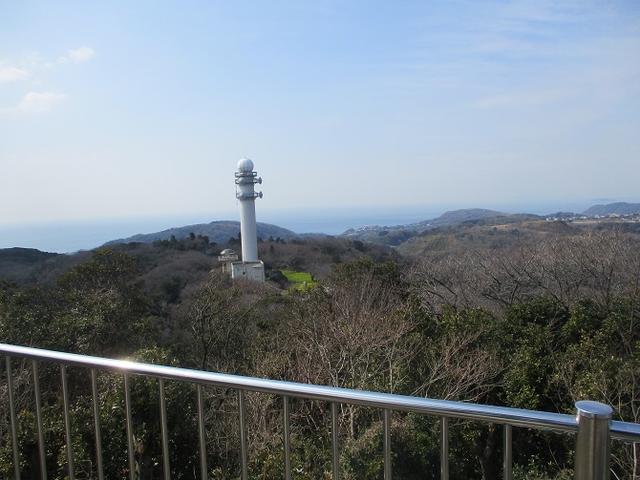 画像6: 3月2日に 安針塚から大楠山 ツアーに行ってきました!