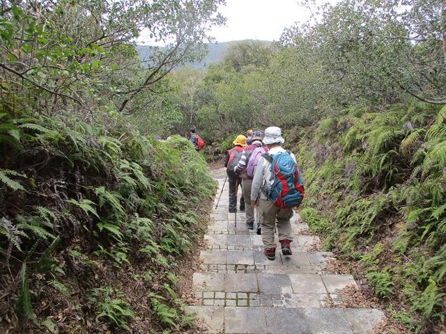 画像8: 3月6日・7日の2日間で 「横山と朝熊ヶ岳」 ツアーに行ってきました!