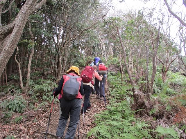 画像5: 3月6日・7日の2日間で 「横山と朝熊ヶ岳」 ツアーに行ってきました!