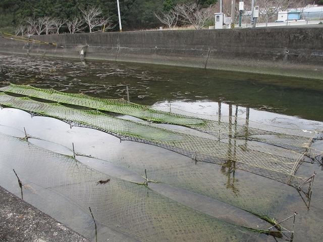 画像10: 3月6日・7日の2日間で 「横山と朝熊ヶ岳」 ツアーに行ってきました!