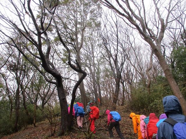 画像2: 3月4日に岡田ガイドのコースで、茨城県の 雪入山 へ行って来ました♪