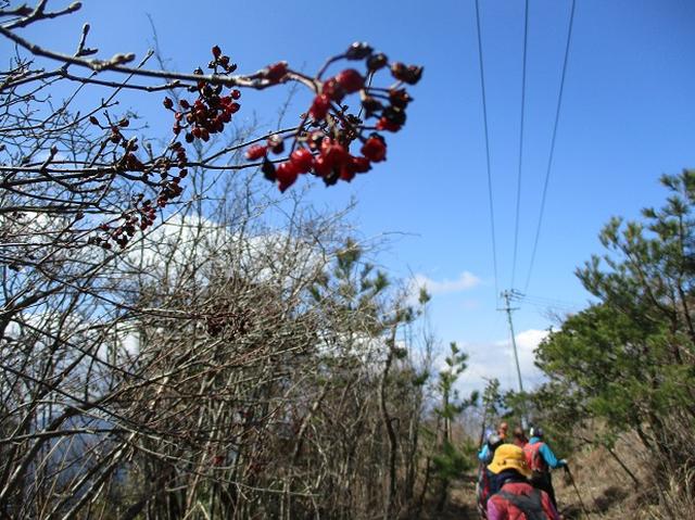 画像8: 3月6日・7日と 「横山と朝熊ヶ岳」 に行ってきました!