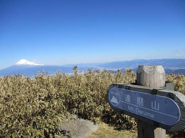 画像5: 3月8日に岡田ガイドと 達磨山 のツアーへ行ってきました♪