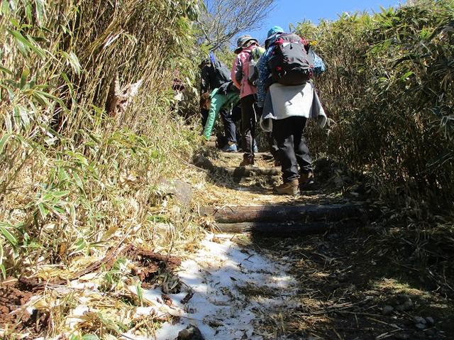 画像4: 3月8日に岡田ガイドと 達磨山 のツアーへ行ってきました♪