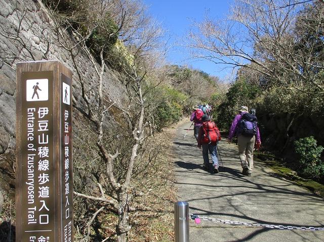画像8: 3月8日に岡田ガイドと 達磨山 のツアーへ行ってきました♪