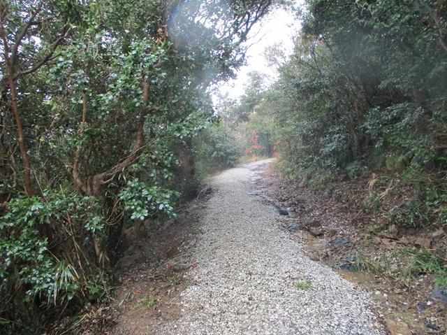 画像3: 4月の山旅会「対馬の山」の直前下見報告です!