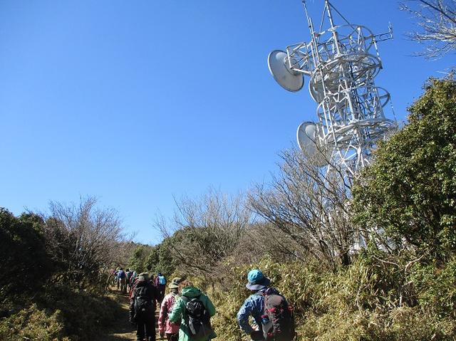 画像9: 3月8日に岡田ガイドと 達磨山 のツアーへ行ってきました♪