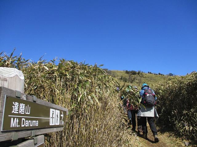 画像2: 3月8日に岡田ガイドと 達磨山 のツアーへ行ってきました♪