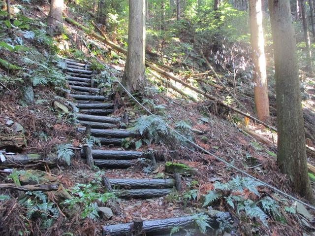 画像2: 4月の山旅会「対馬の山」の直前下見報告です!