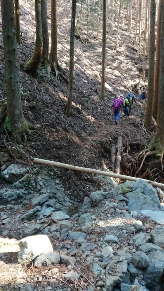 画像9: 3月9日に宮下ガイドと、 倉岳山 へ行ってきました♪