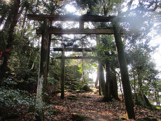 画像7: 4月の山旅会「対馬の山」の直前下見報告です!