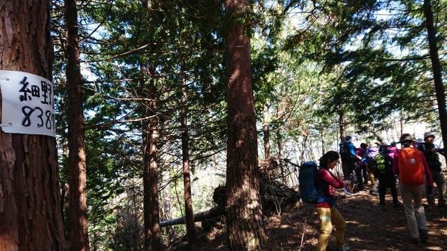 画像6: 3月9日に宮下ガイドと、 倉岳山 へ行ってきました♪