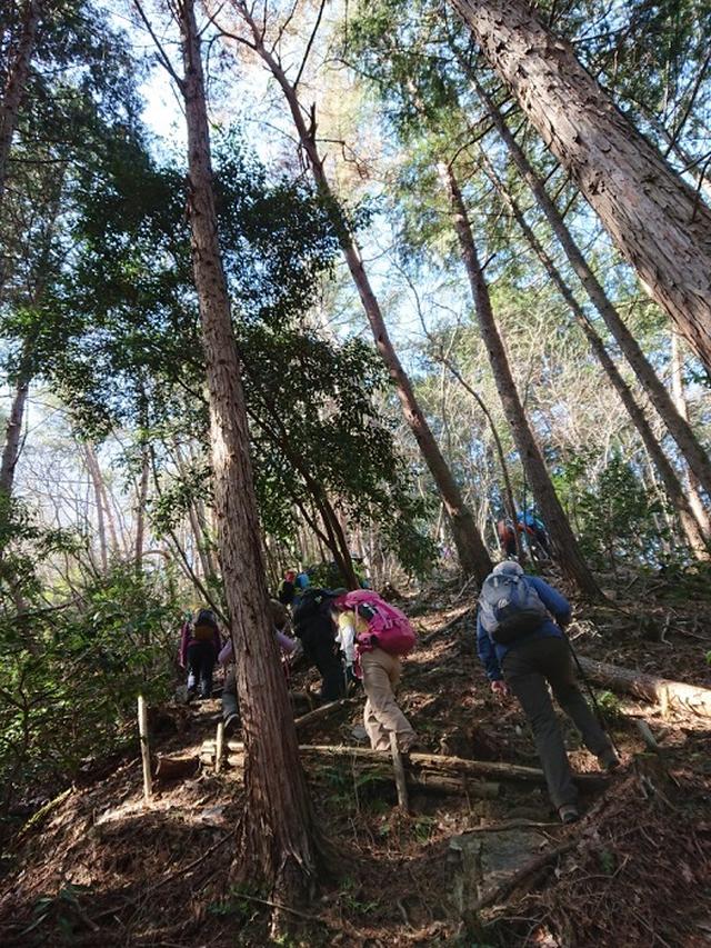 画像4: 3月2日に佐藤優ガイドの「ごちそう山」シリーズで、 雨巻山 へピザを食べに行って来ました♪