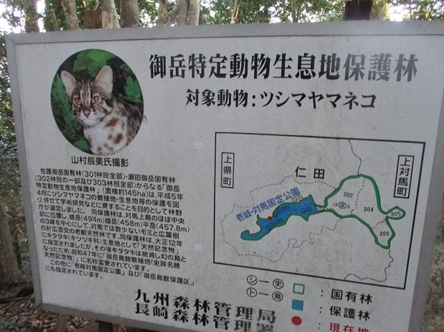 画像5: 4月の山旅会「対馬の山」の直前下見報告です!