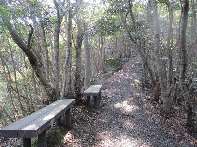 画像3: 4月の山旅会「対馬の山」の直前下見報告です!