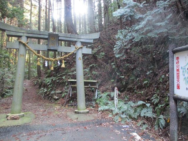 画像1: 4月の山旅会「対馬の山」の直前下見報告です!
