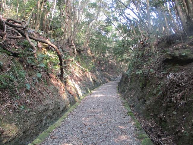 画像2: 4月の山旅会「対馬の山」の直前下見報告です!