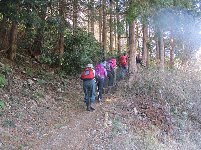 画像5: 日3月18日に山旅会 笠山から堂平山 ツアーに行ってきました!