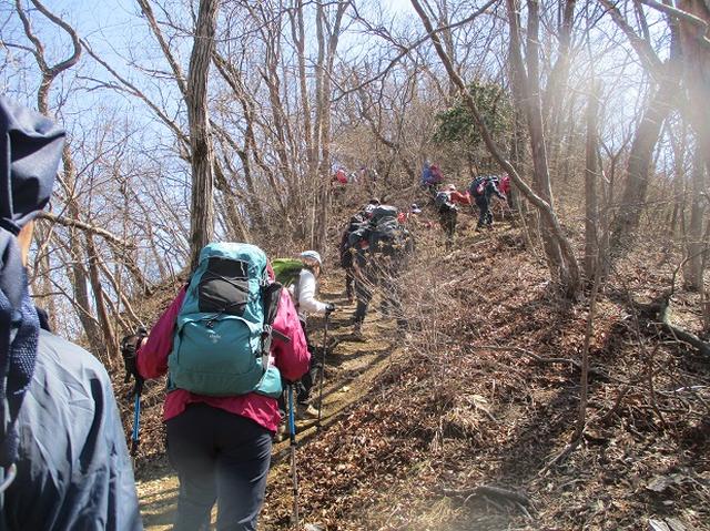 画像6: 日3月18日に山旅会 笠山から堂平山 ツアーに行ってきました!