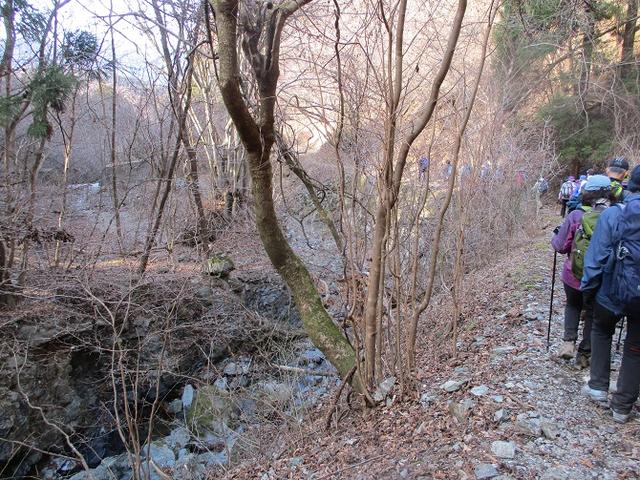 画像11: 日3月18日に山旅会 笠山から堂平山 ツアーに行ってきました!