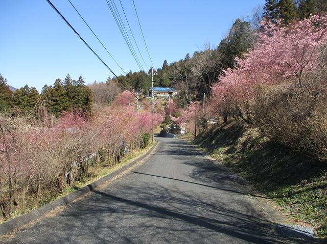 画像2: 日3月18日に山旅会 笠山から堂平山 ツアーに行ってきました!