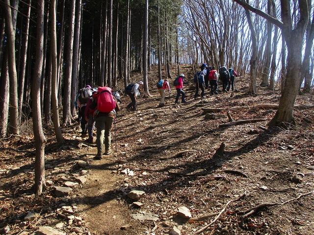 画像8: 日3月18日に山旅会 笠山から堂平山 ツアーに行ってきました!