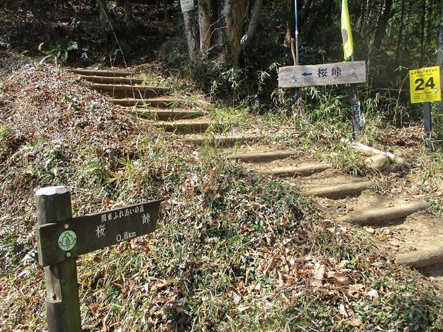 画像2: 山旅会 「晃石山から太平山」 ツアーの直前下見に行ってきました!