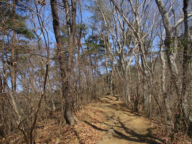 画像4: 山旅会 「晃石山から太平山」 ツアーの直前下見に行ってきました!