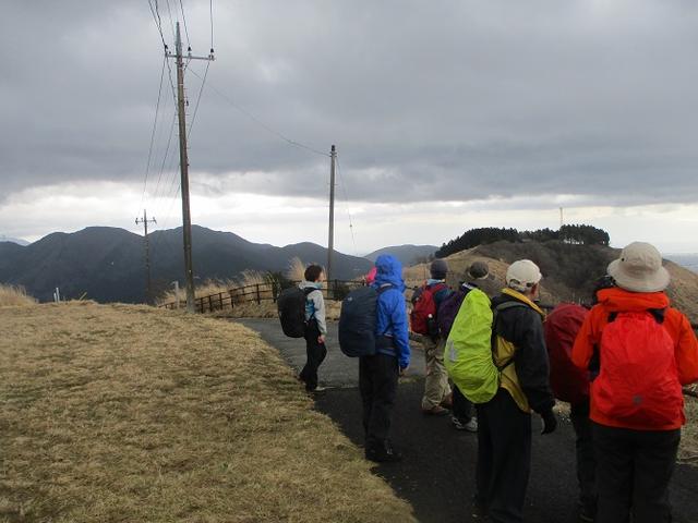 画像6: 3月21日に山旅会 大野山 ツアーに行ってきました!