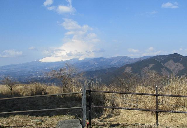画像8: 3月21日に山旅会 大野山 ツアーに行ってきました!