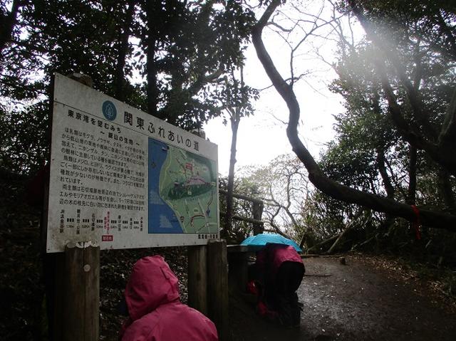 画像7: 3月23日に山旅会 「東京湾フェリーで行く鋸山」 ツアーに行ってきました!