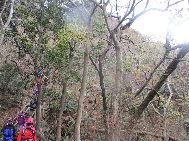 画像10: 3月23日に山旅会 「東京湾フェリーで行く鋸山」 ツアーに行ってきました!