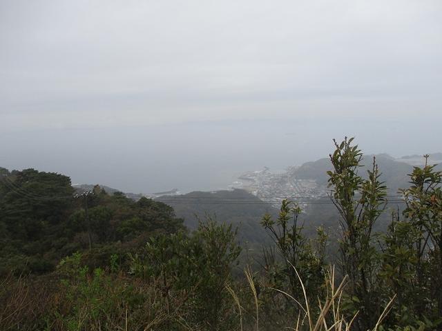 画像8: 3月23日に山旅会 「東京湾フェリーで行く鋸山」 ツアーに行ってきました!