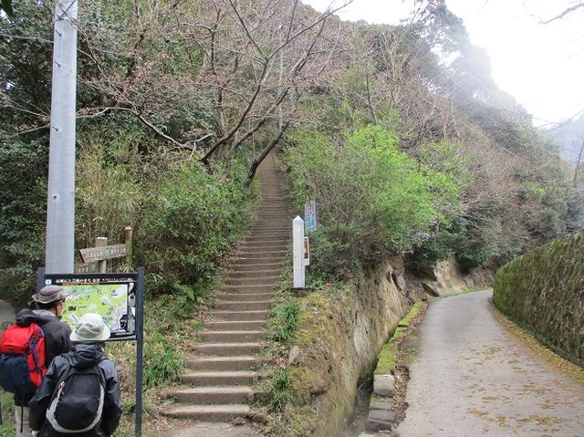 画像1: 3月23日に山旅会 「東京湾フェリーで行く鋸山」 ツアーに行ってきました!